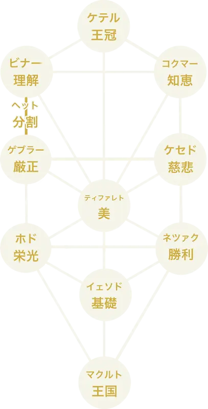 生命の樹 分割 ヘット