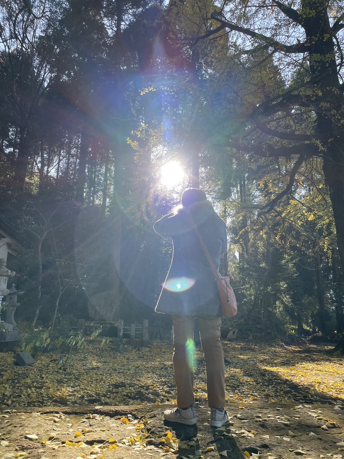 神社参拝の時の光