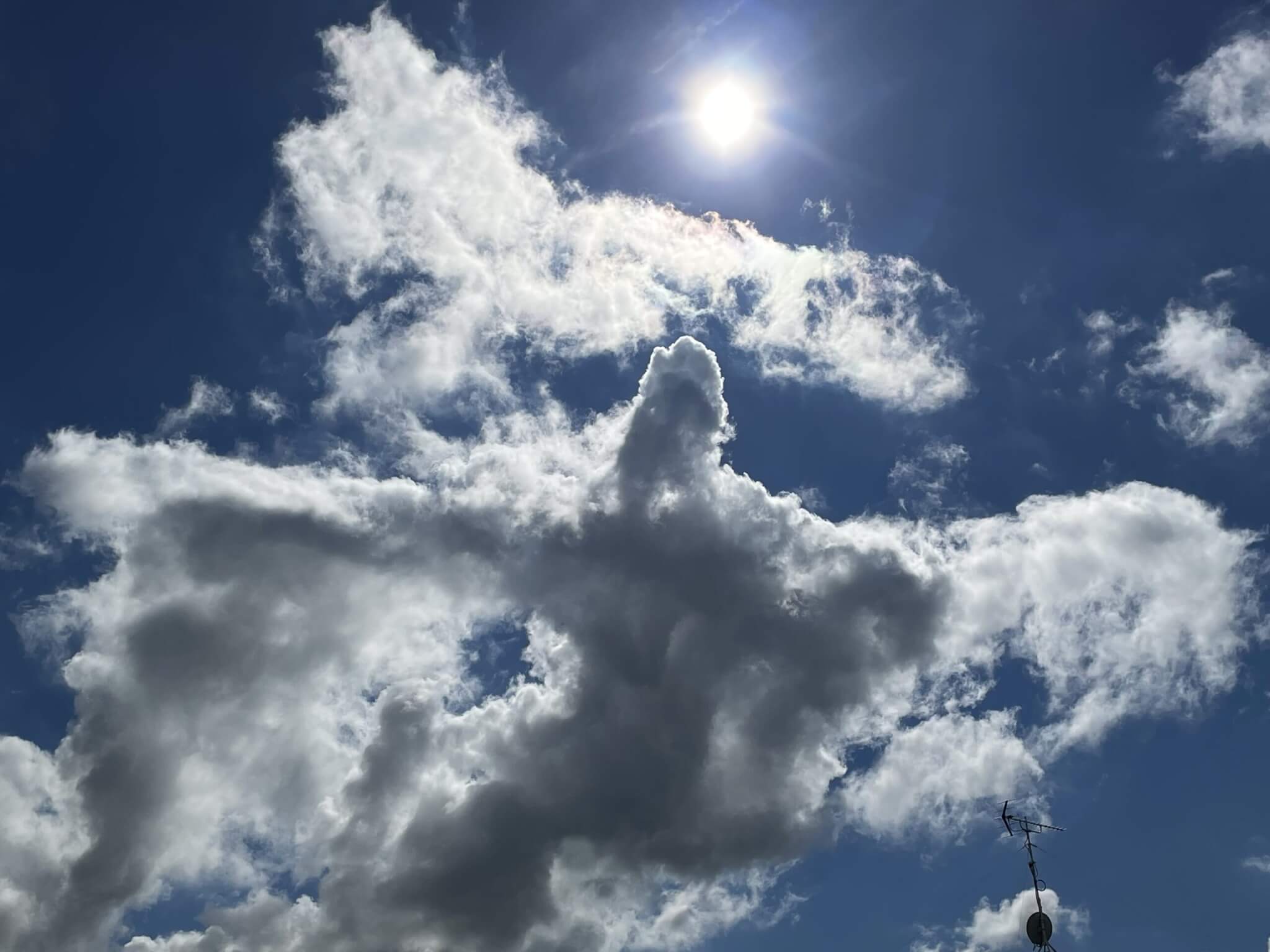 お空の大きな鳥